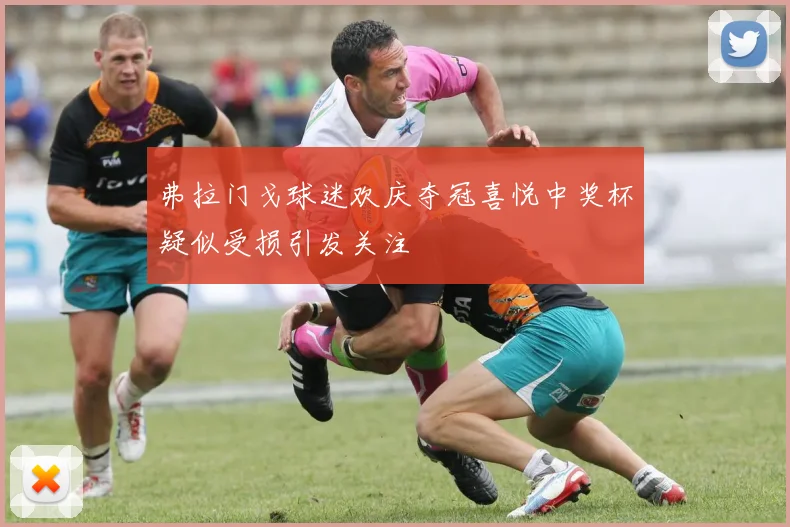 弗拉门戈球迷欢庆夺冠喜悦中奖杯疑似受损引发关注