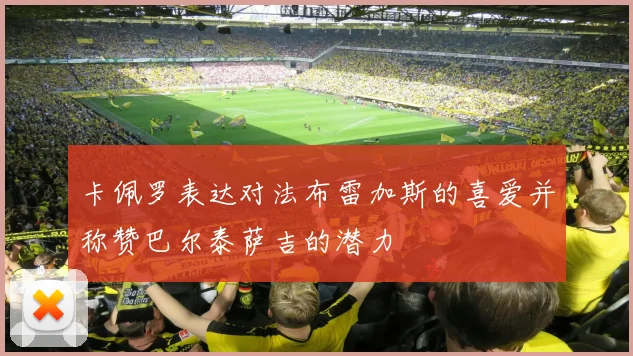 卡佩罗表达对法布雷加斯的喜爱并称赞巴尔泰萨吉的潜力