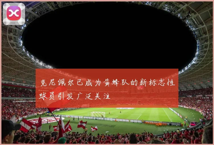克尼佩尔已成为黄蜂队的新标志性球员引发广泛关注