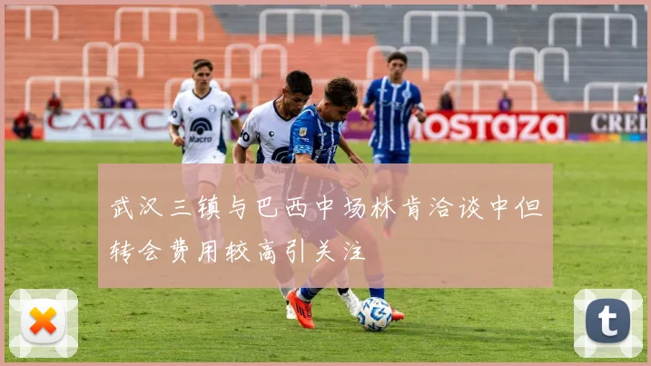 武汉三镇与巴西中场林肯洽谈中但转会费用较高引关注